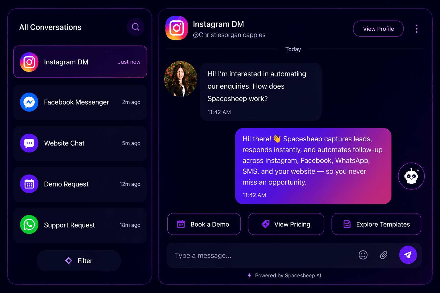 Spacesheep multi-channel inbox with an Instagram DM conversation
